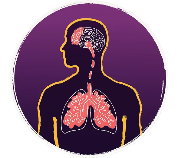 Illustrated diagram of a human silhouette with organs highlighted, purple background — medical/educational infographic 